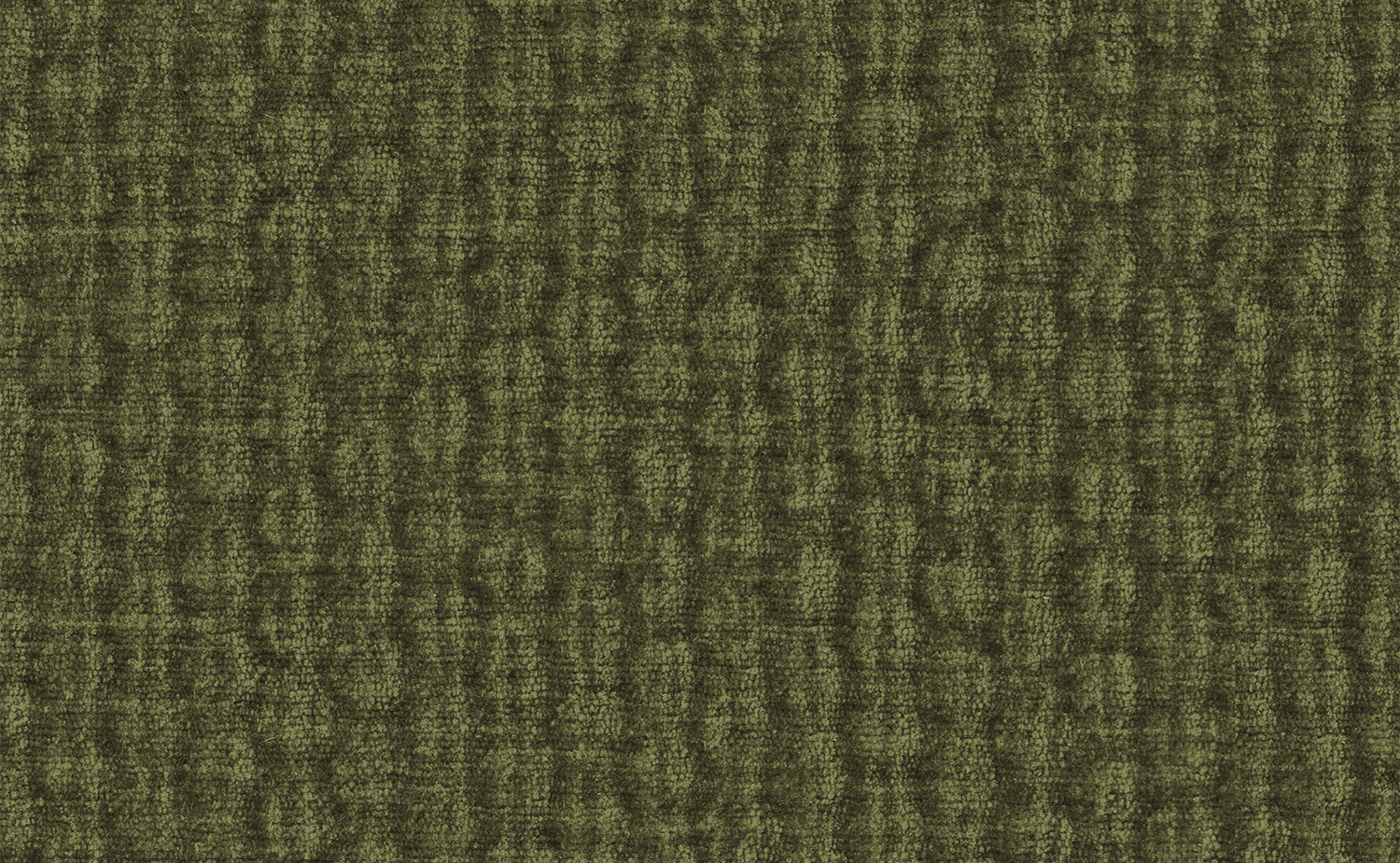 Sahara